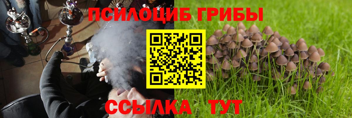 Псилоцибиновые грибы GOLDEN TEACHER  Вход с VPN  Домодедово 
