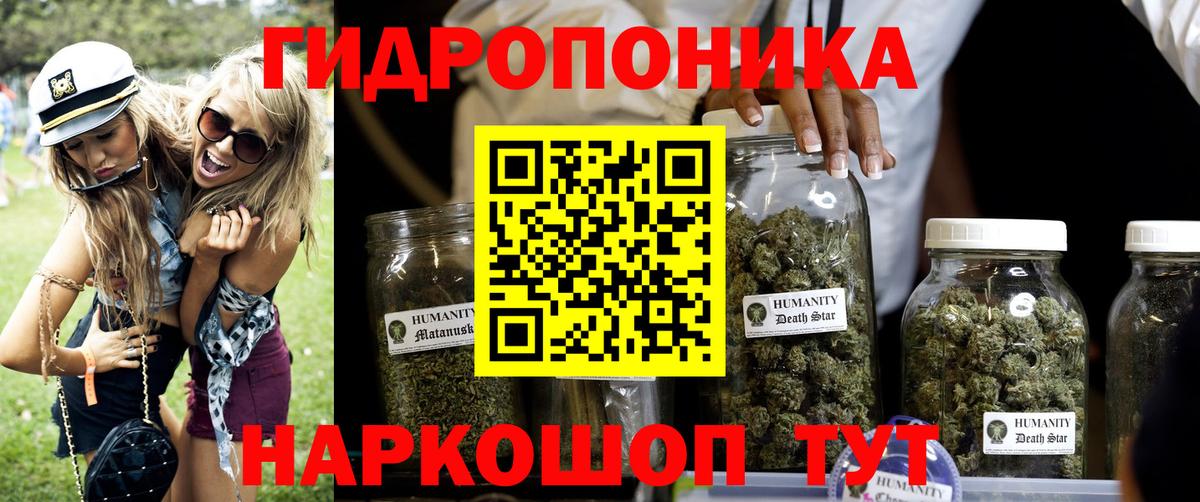 Конопля White Widow  Вход с VPN  Канабис тримм  Бошки марихуана Bruce Banner  Домодедово 